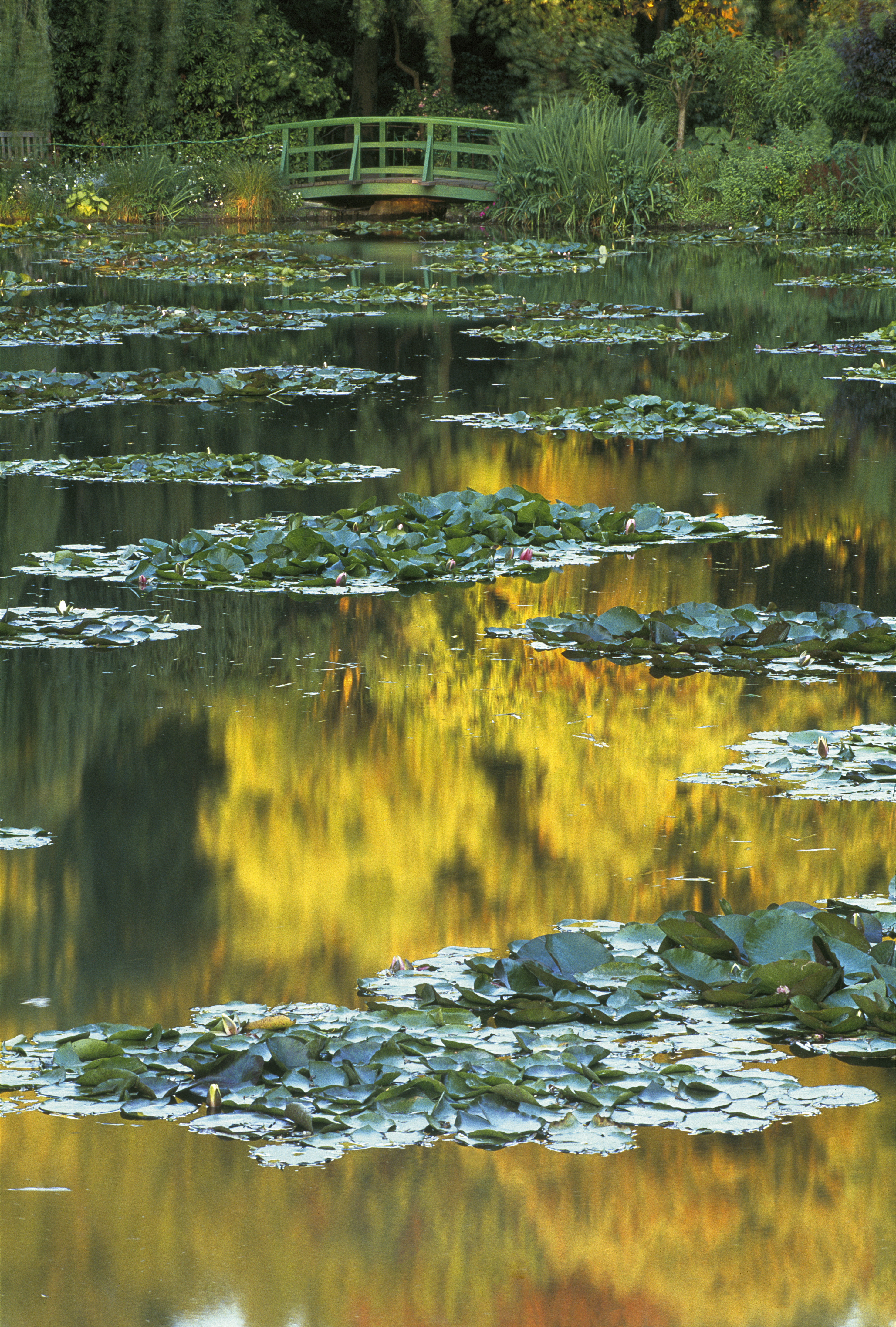 Jardins de Claude Monet, le jardin d’eau