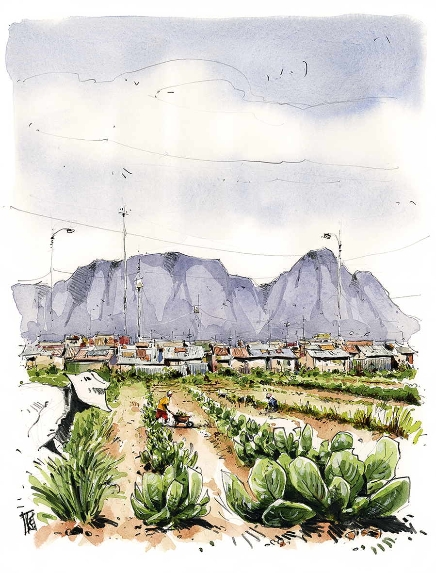 Jardins-Abalimi-Afrique-sud-Ultre╠üia3-Reno-HD_ret