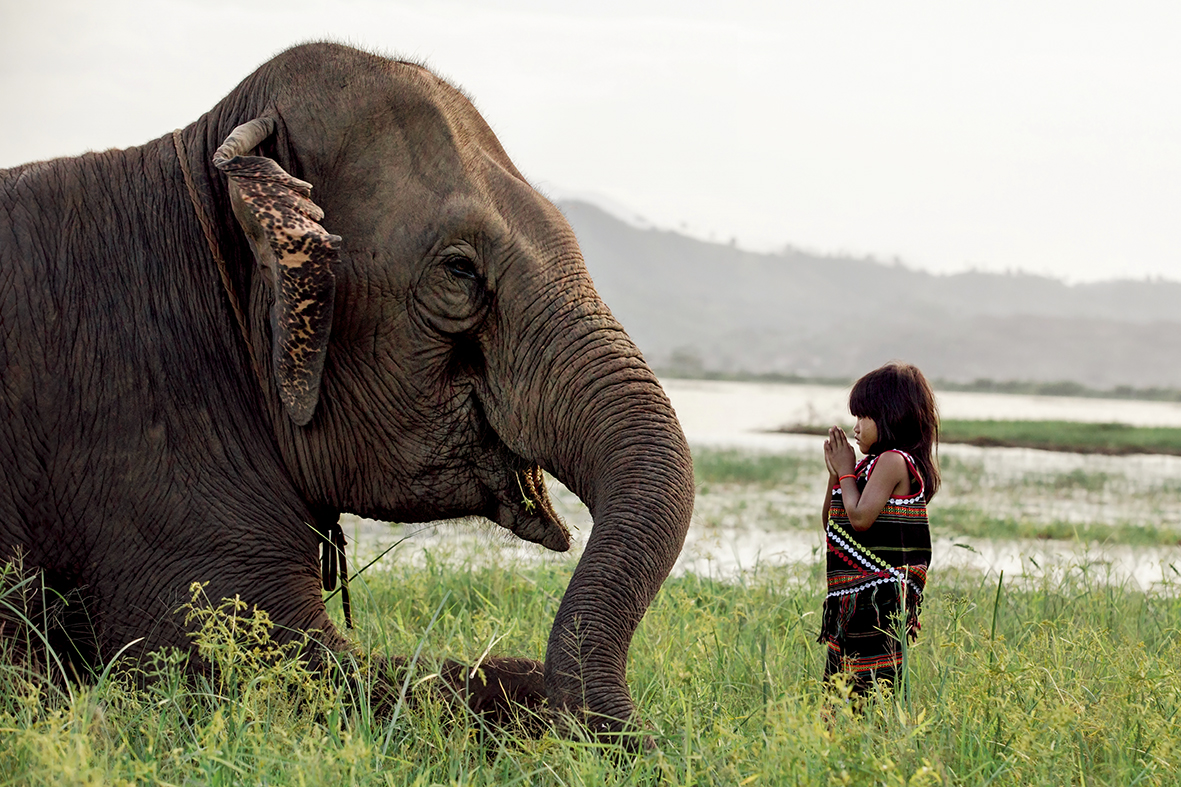 rencontre noblesse
