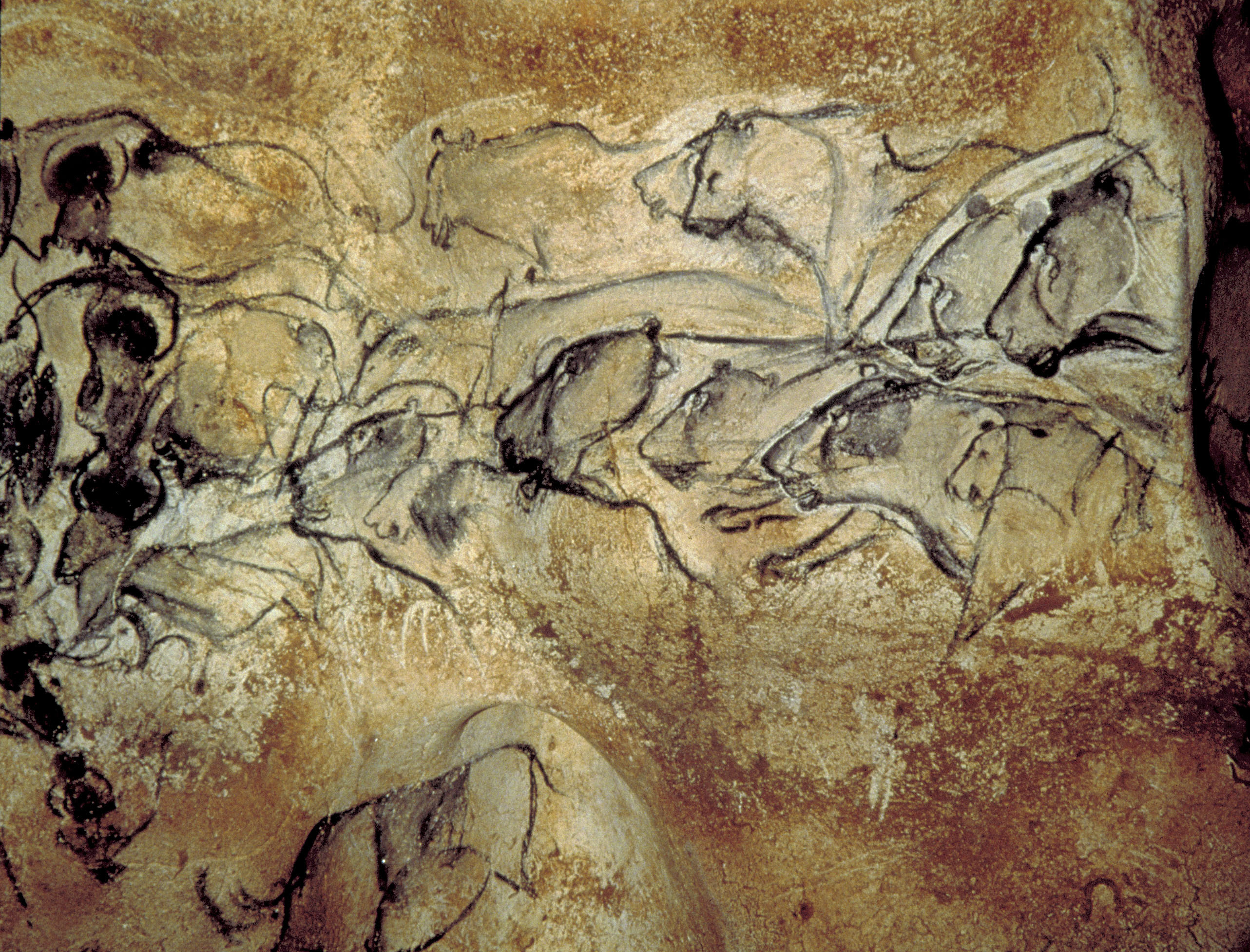 Первобытный 3 д. Пещера ля-Ферраси, Франция. Пещера Шове-Пон д'АРК. Пещера Шове Наскальная живопись. Пещера Альтамира.